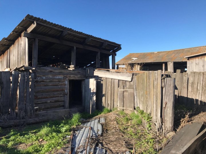 Погода в чистом поле балахтинский. Деревня Трясучая.