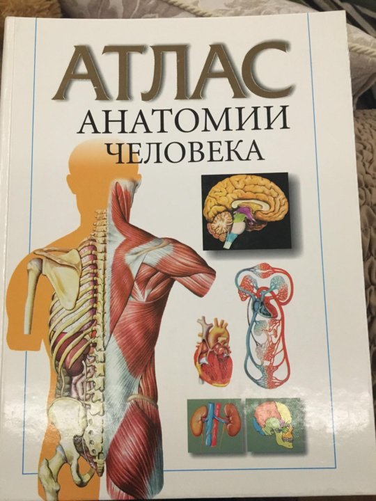 Анатомия книги атласы. Стопка атласов по анатомии. Книги атласа тканей.