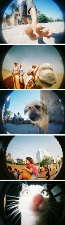 Lomography purple примеры фото Неактивно