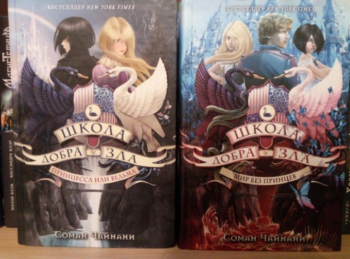 Школа добра и зла. Школа добра и зла 4. Школа добра и зла книга четыре. Школа добра и зла шутки. Топпер школа добра и зла.