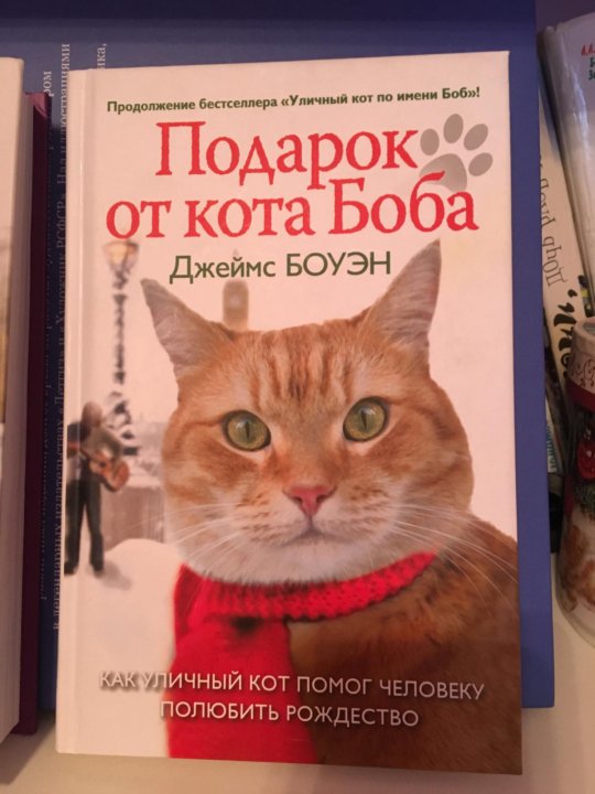 Книга глазами кота. Мир глазами кота Боба. Мир глазами кота Боба книга. Боуэн д. мир глазами кота Боба. Кот Боб во имя любви книга.