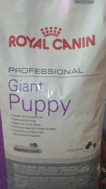 Royal Canin professional giant Puppy. Royal Canin professional growth giant Puppy. Корма Курск. Корма из Курска. Купить корм курск