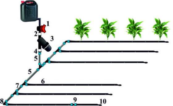 Схемы капельный полив своими руками