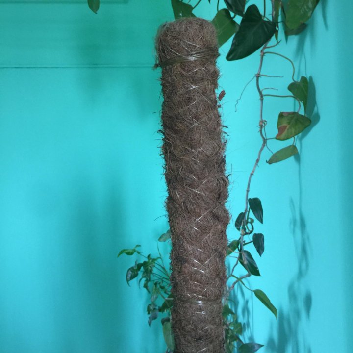 Опора для монстеры своими руками из пластиковой трубы - фото