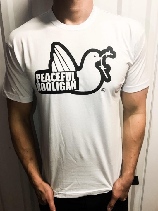 Футболки 2023. Майка peaceful Hooligan. Peaceful Hooligan принты. Футболка Cat Hooligan. Peaceful Hooligan футболка с каской.