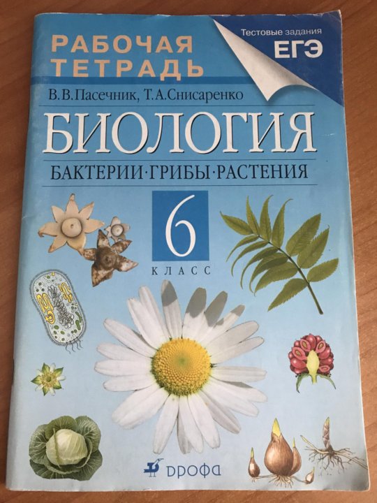 РАБОЧАЯ ТЕТРАДЬ ПО БИОЛОГИИ 6 КЛАСС ПАСЕЧНИК СНИСАРЕНКО СКАЧАТЬ БЕСПЛАТНО РАБОЧАЯ ТЕТРАДЬ ПО БИОЛОГИИ 6 КЛАСС ПАСЕЧНИК СНИСАРЕНКО СКАЧАТЬ БЕСПЛАТНО