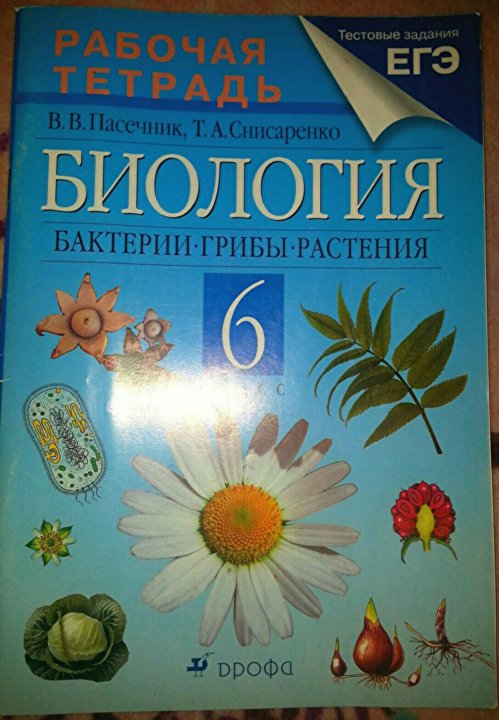 Учебник биологии 7 пасечник читать. Биология 5-6 Пасечник рабочая тетрадь. Пасечник в. в. биология. 6 Класс // Дрофа.. Биология 6 класс рабочая тетрадь Пасечник. Рабочая тетрадь по биологии 6 класс Пасечник.