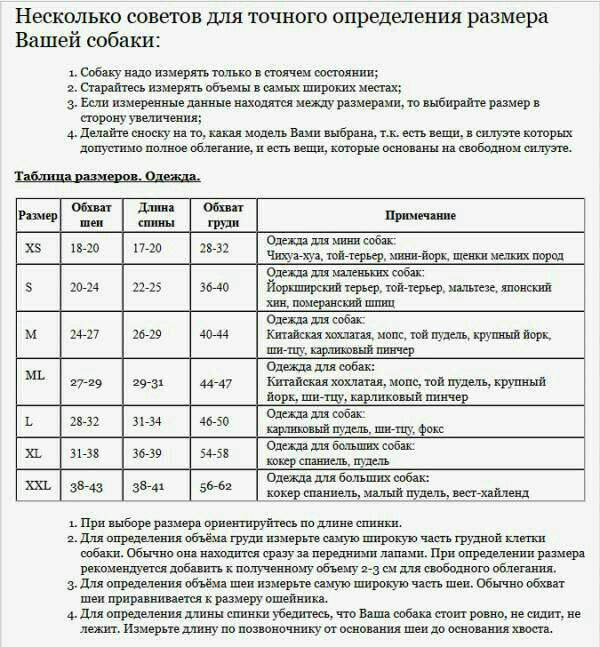 Размеры той пуделя по месяцам таблица