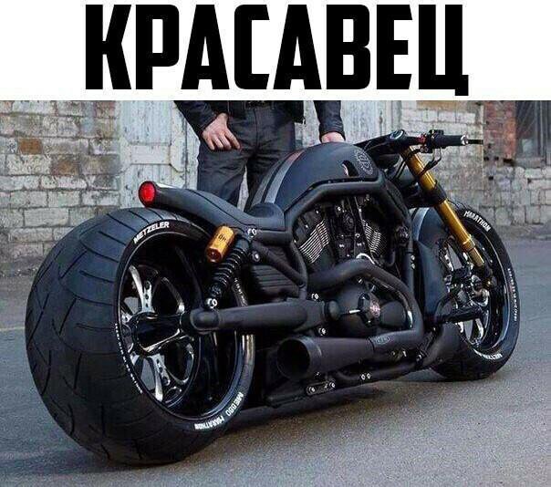 Harley v Rod Custom