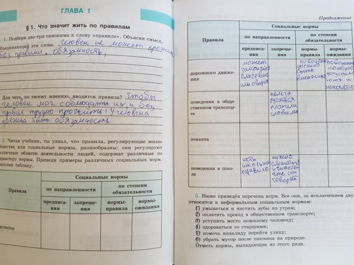 Обществознание 7 контрольная работа социальные нормы