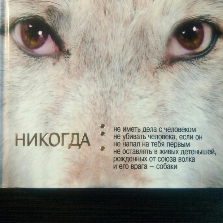 Читать книгу лялька по волчьим законам. Закон Волков. Закон Волков Дороти Херст. Волчьи принципы. Какой закон у Волков.