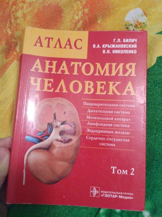 Атлас анатомии крыжановский. Билич Крыжановский анатомия 1 том. Атлас Билич Крыжановский том 1. Атлас Билич Крыжановский. Атлас анатомии Билич Крыжановский.