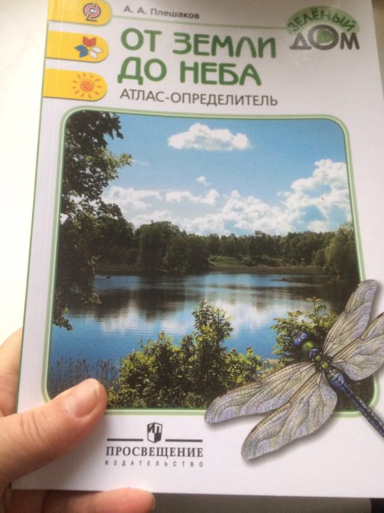 Определитель от неба. Атлас определитель Плешаков. От земли до неба. Атлас от земли до неба 3. Атлас-определитель от земли до неба про берёзу.