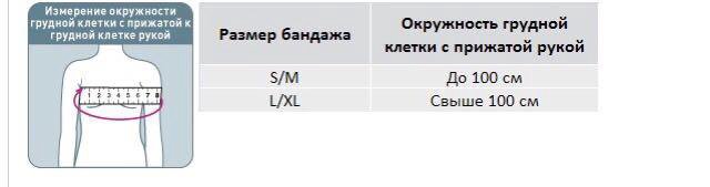 Практическая работа измерение обхвата грудной клетки. Бандаж орлет 301 си. Бандаж плечевой Орлетт si 311. Бандаж плечевой Орлетт si 301. Бандаж Орлетт плечевой детский размер.