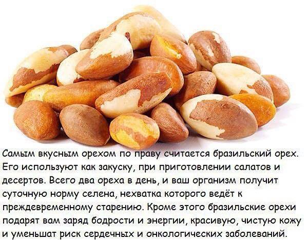 Бразильский орех. Бразильский орех. Сколько можно есть бразильского ореха. Бразильский орех ккал. Бразильский орех польза.