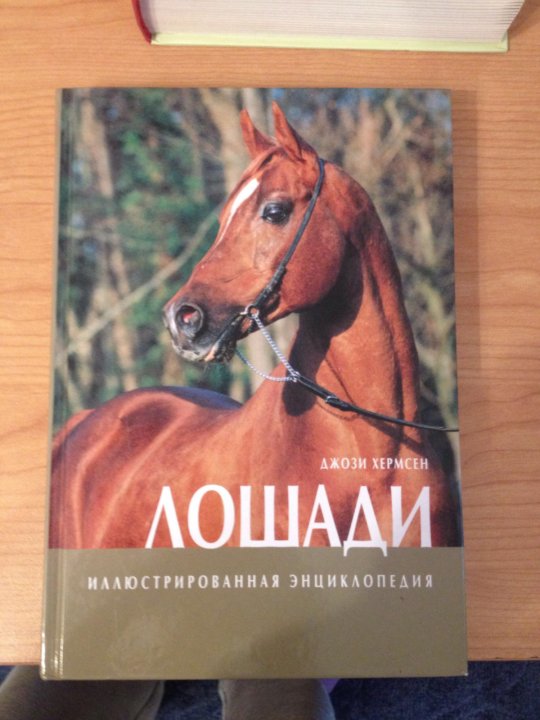 Книга все о лошадях – купить в Москве, цена 1 199 руб., дата размещения ...