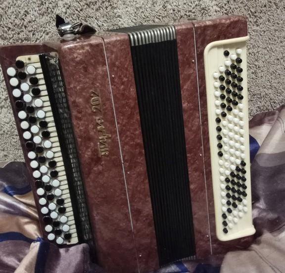 Баян тульский. Баян тульский полный. Баян тула 202. Баян тула 202. Баян этюд 202.