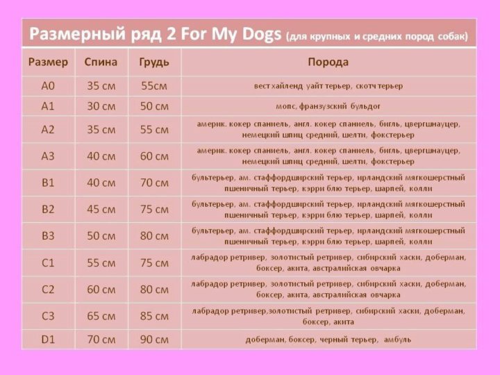 My dogs перевод на русский. Фор май догс Размерная сетка. For my Dogs одежда для собак Размерная сетка. Размерная сетка для обуви for my Dogs. For my Dogs одежда для собак Размерная сетка такса.