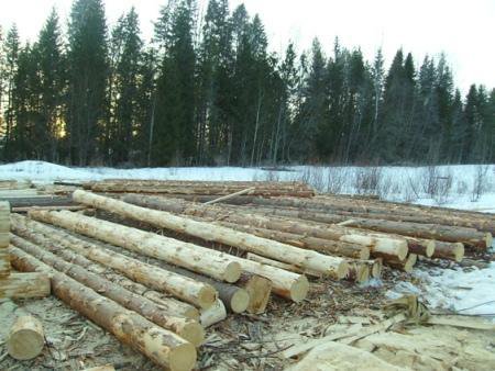 Нужно вывести из леса 35 бревен трактор. Строевой лес. Полураскрытый строевой лес.