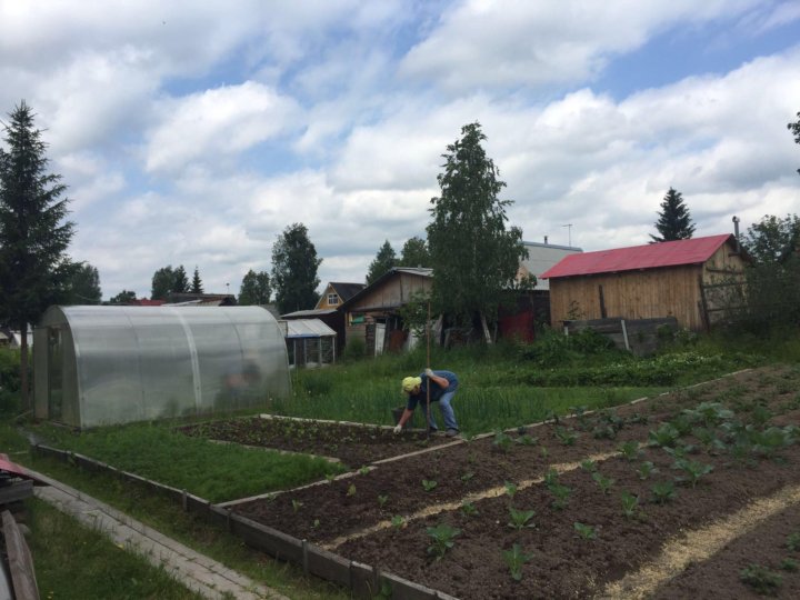 Погода зори севера новодвинск. Зори севера Новодвинск. Продам дачу в Новодвинске зори севера.