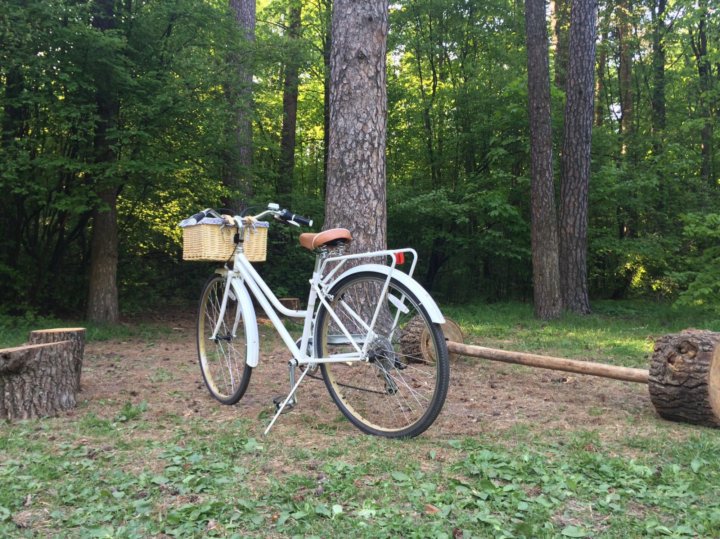 schwinn cream 2