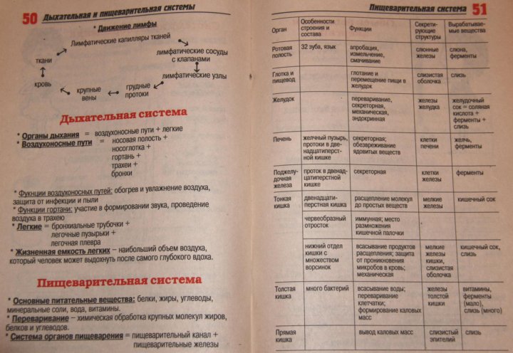 Весь курс школьной программы биология в схемах и таблицах