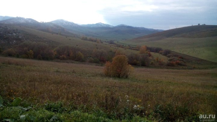 Погода александровка алтайский край. Село Александровка Солонешенский район. Александровка Солонешенского района Алтайского края. Село Александровка Алтай. Село Александровка Смоленский район Алтайский край.