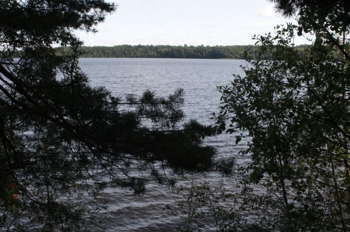 токсово большой петровский канал. дом напротив храма в токсово. пушкарская 9 токсово фото. токсовский железнодорожный вокзал. гп токсово.