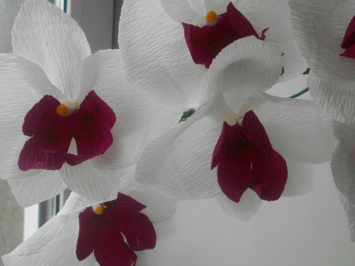 Как сделать орхидею из бумаги