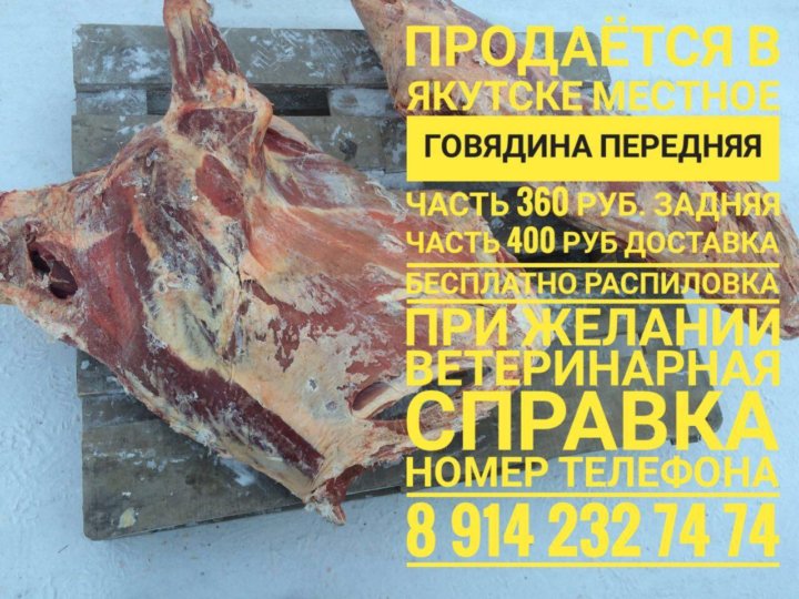 Продам мясо свинины объявление образец