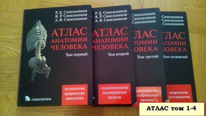 Анатомия атлас том 1. Атлас анатомии человека р.д. Синельникова в 4 томах. Атлас анатомии человека 3 Тома Синельников. Атлас анатомии человека Синельников том 4. Атлас анатомии человека Синельникова 2009 1 том.