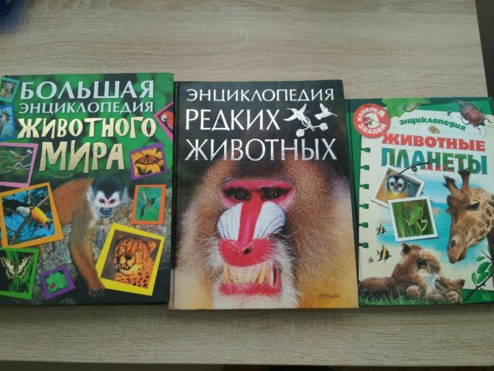 Энциклопедия Животных Фото