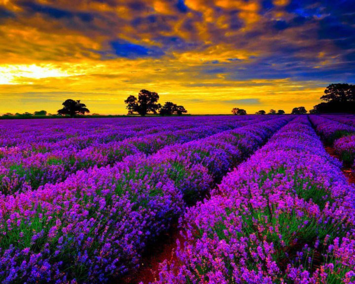 ������� �� ������� "���������� ����" � ������ � ������ ���������, ���� 500 ���., ������� 22 ���� 2018 � ��������� ��� ����������