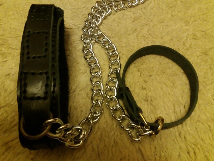 �������� ���� ������� ���� ��������� ������� ������� ��� ������� ������ ��� �������