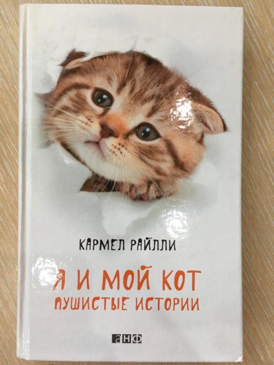 Название моего кота