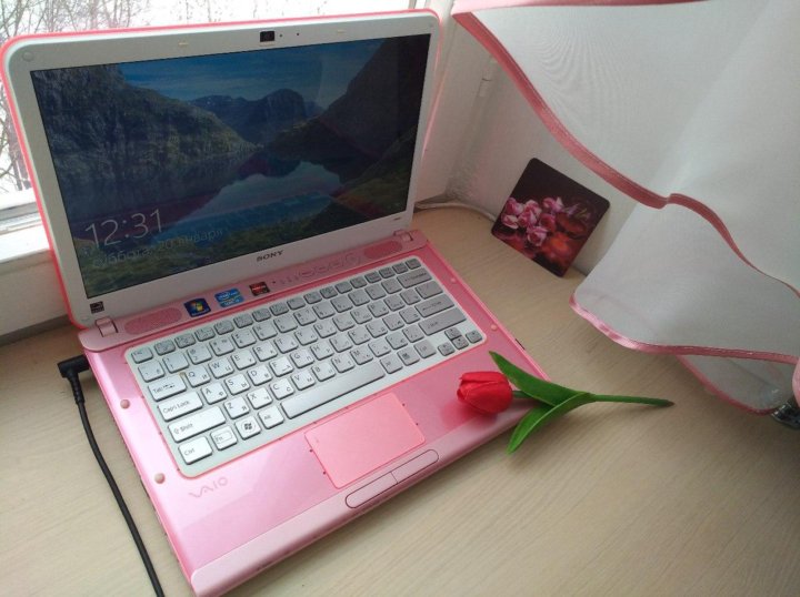Ноутбук Розовый Купить В Саратове