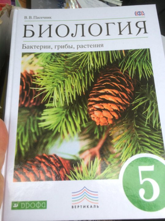 Грибы учебник. Биология 5 класс Пасечник 2020. Биология 6 класс. Бактерии, грибы, растения. Пасечник. Учебник биологии с грибом. Биология 5 класс учебник грибы.