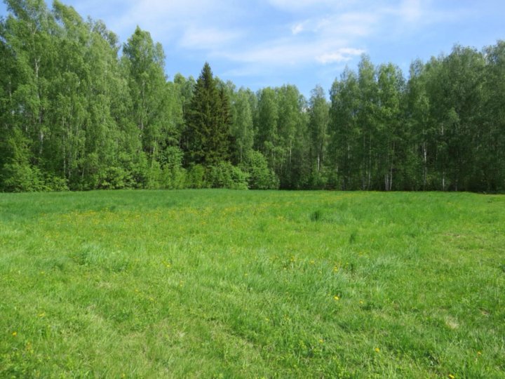 Луговое нижегородская область. Луговое нижегородская область. Село луговое нижегородская область. Село луговое нижегородская область. Село луговое нижегородская область.