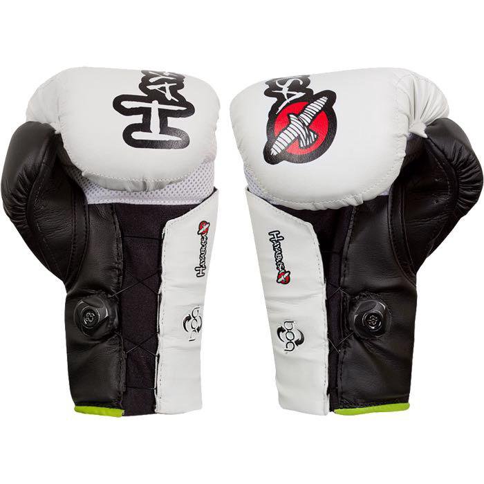 Hayabusa Tokushu REGENESIS