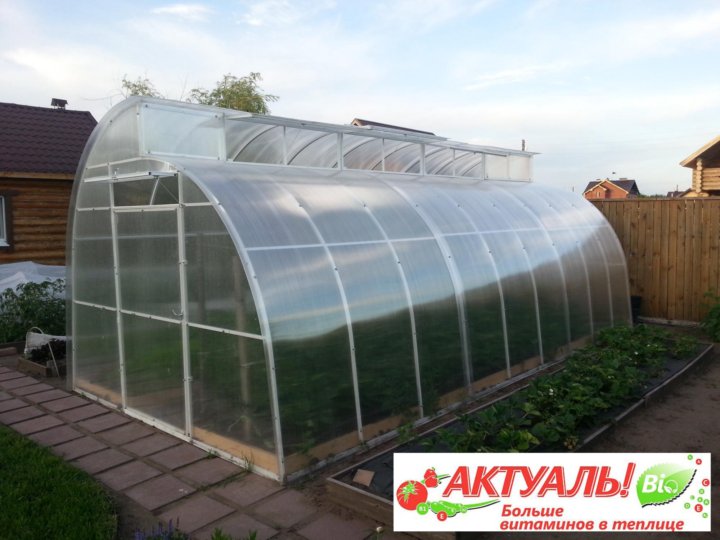 Теплица 3х4 поликарбонат. Теплицы с нефтекамска. Производители теплиц из поликарбоната в самаре. Производители теплиц из поликарбоната в самаре. Теплица из поликарбоната.