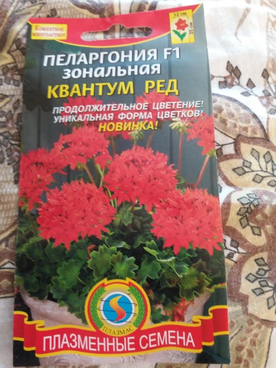 Семена У Беллы Интернет Магазин Каталог Пеларгонии
