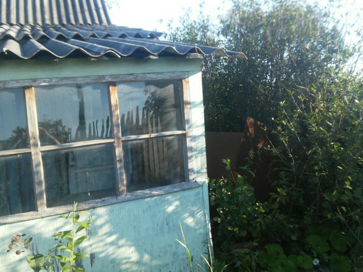 Дача кыштым. Купить сад в Кыштыме. Купить сад в Кыштыме недорого
