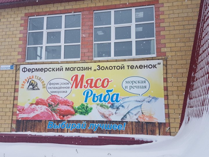 Золотой Теленок Магазин Кожи Сайт