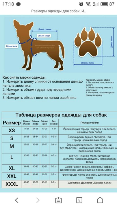Стандарт той терьера по месяцам таблица Комбенизон для маленькой собаки - купить в Городце, цена 300 руб., продано 18 ма