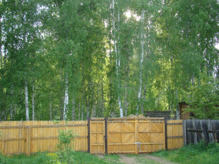 роща красноярский край уярский район посёлок роща улица. поселок роща уярского района красноярского края. синицинский бор тюменская область. каменно-горновка уярский район. кедровая роща в игринском районе.