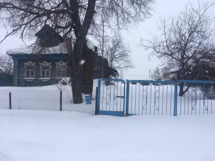 погода в менделеево моск обл. чистое южное московская область. поселок менделеево зеленоград.