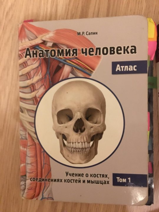 КАРМАНЫЙ АТЛАС АНАТОМИИ ЧЕЛОВЕКА САПИН СКАЧАТЬ БЕСПЛАТНО КАРМАНЫЙ АТЛАС АНАТОМИИ ЧЕЛОВЕКА САПИН СКАЧАТЬ БЕСПЛАТНО