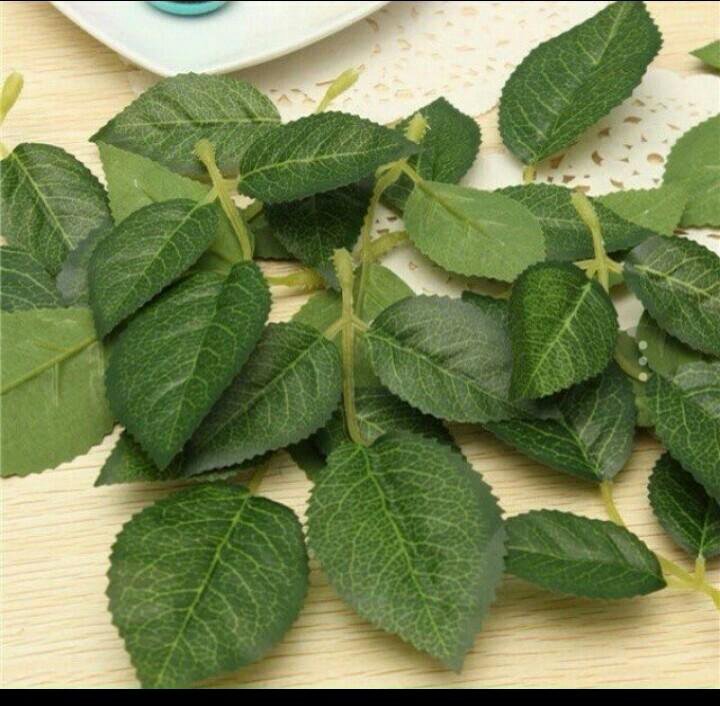 Лист розы липкий. Hoja verde розы. Лист розы липкий. Пятнистость гибискуса. Лист розы липкий.
