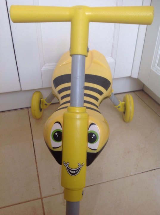 yellow scuttlebug