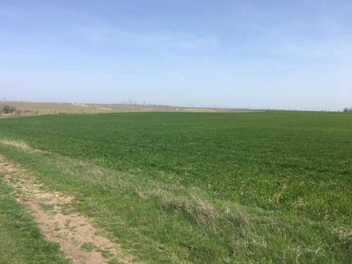 Село раздолье симферопольского. Дубки Красногвардейского района село. Посёлок Дубки Красногвардейский район. Дубки Симферопольский район идеал Хаус. Симферопольский район село Дубки 48.